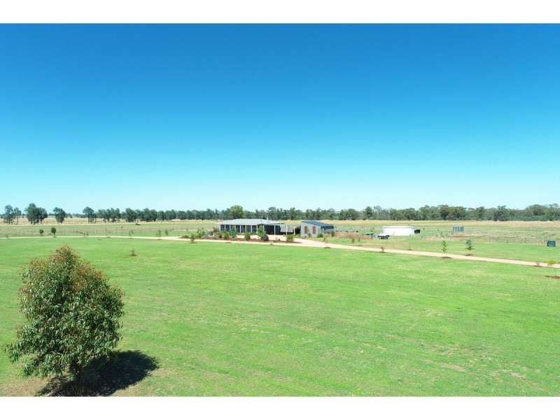 78 Henty Walla Road, Henty NSW 2658