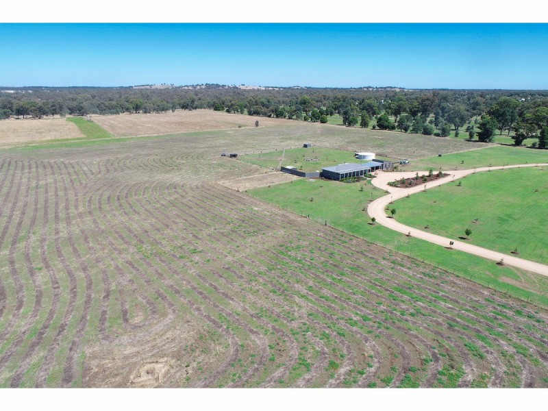 78 Henty Walla Road, Henty NSW 2658