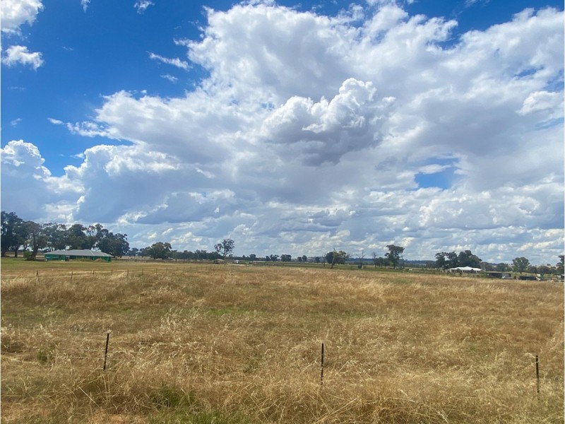 6 Sisters Lane, Howlong NSW 2643