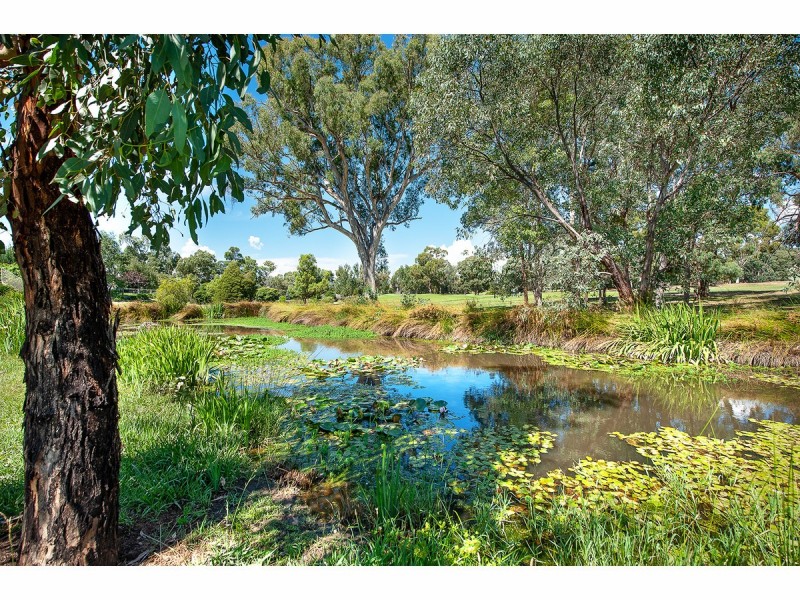 25 Golflinks Avenue, Wodonga VIC 3690