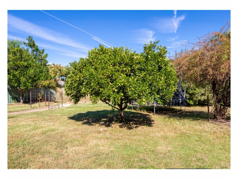 29 Buronga Drive, Springdale Heights NSW 2641