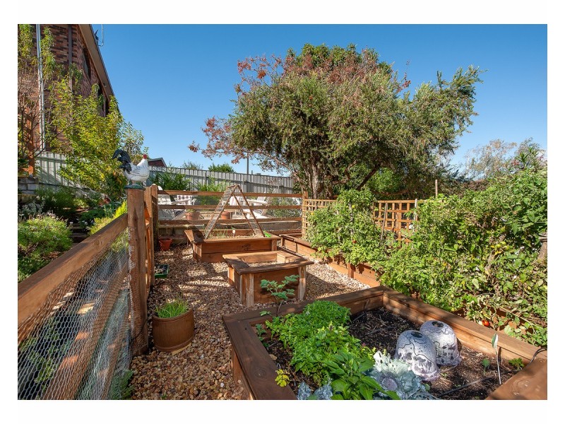 269 Highview Crescent, Lavington NSW 2641