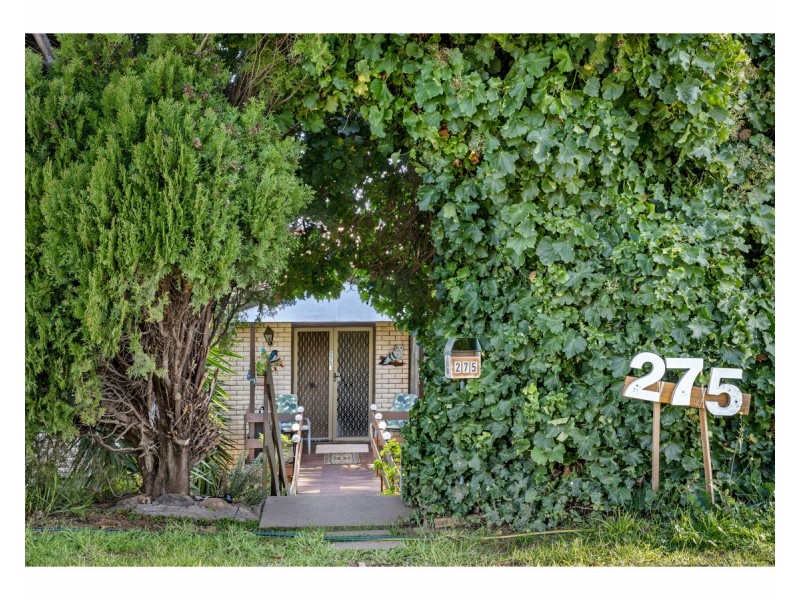 275 Highview Crescent, Lavington NSW 2641