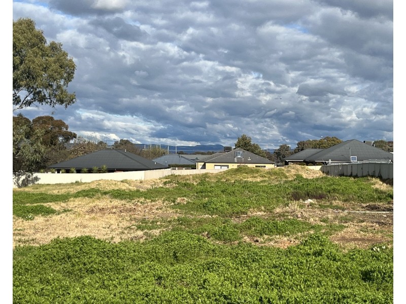 484 Rose Street, Lavington NSW 2641