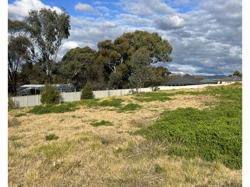 484 Rose Street, Lavington NSW 2641