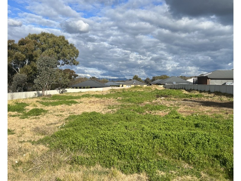 484 Rose Street, Lavington NSW 2641