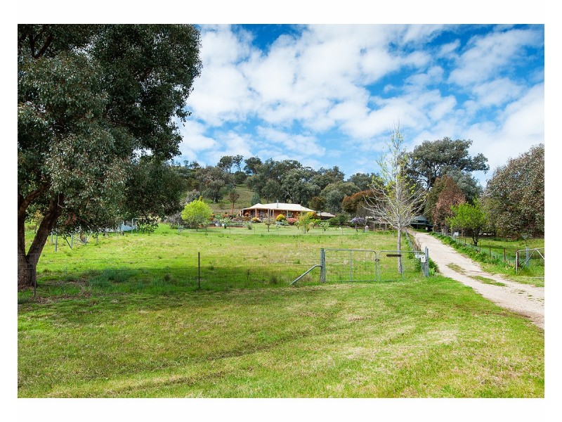 81 Bonnie Springs Road, Jindera NSW 2642