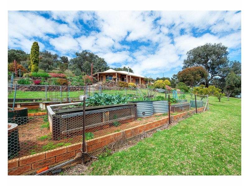 81 Bonnie Springs Road, Jindera NSW 2642