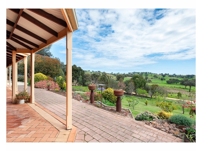 81 Bonnie Springs Road, Jindera NSW 2642