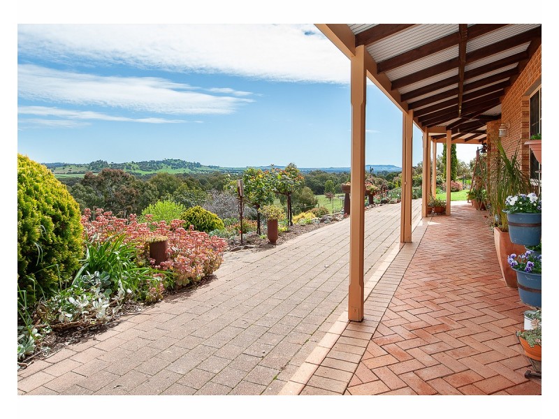 81 Bonnie Springs Road, Jindera NSW 2642