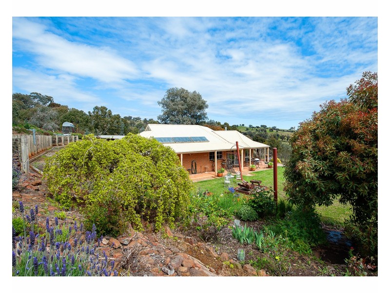 81 Bonnie Springs Road, Jindera NSW 2642