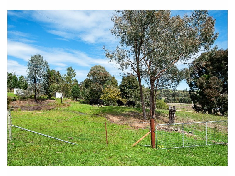 81 Bonnie Springs Road, Jindera NSW 2642