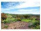 81 Bonnie Springs Road, Jindera NSW 2642