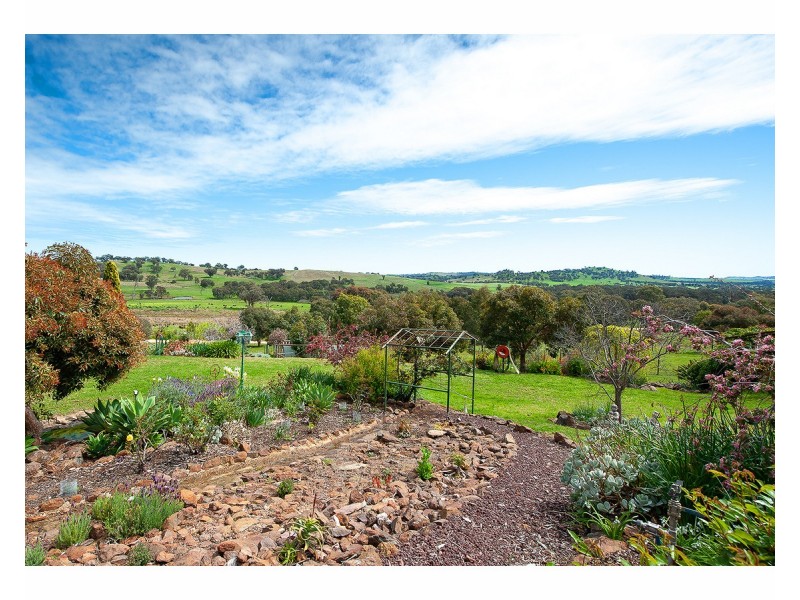 81 Bonnie Springs Road, Jindera NSW 2642