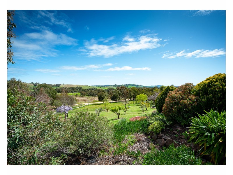 81 Bonnie Springs Road, Jindera NSW 2642