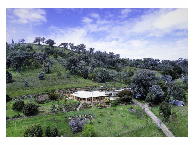 81 Bonnie Springs Road, Jindera NSW 2642