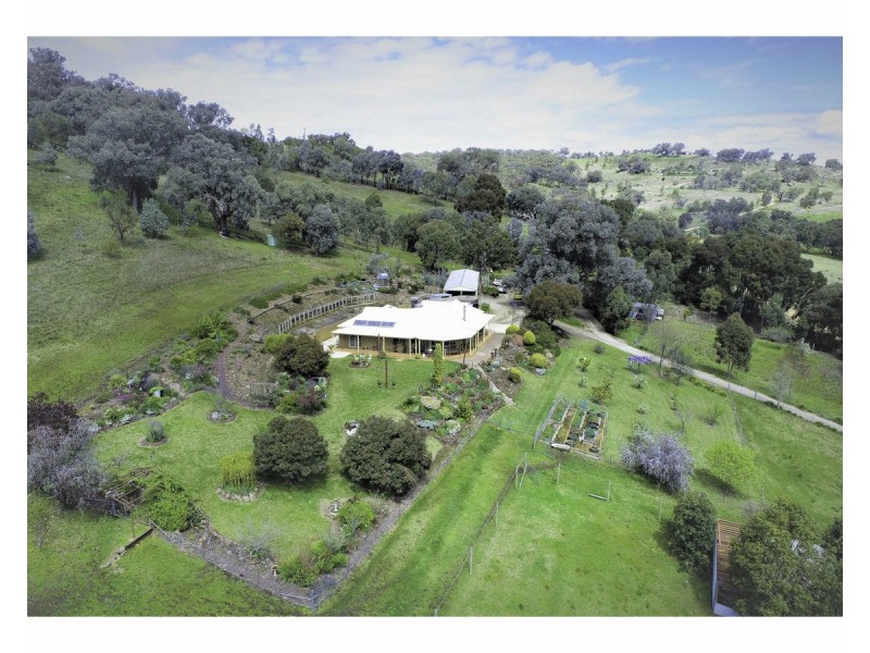 81 Bonnie Springs Road, Jindera NSW 2642