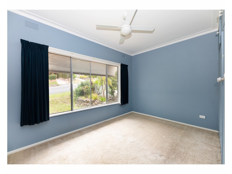 223 Mount Street, East Albury NSW 2640