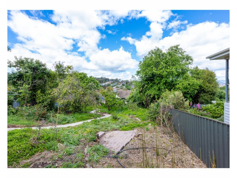 223 Mount Street, East Albury NSW 2640