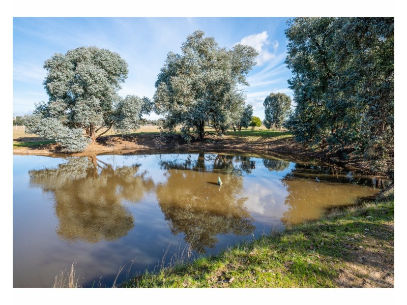 242 Dights Forrest Road, Jindera NSW 2642