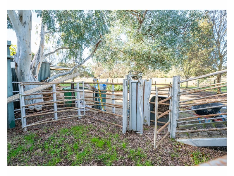 242 Dights Forrest Road, Jindera NSW 2642