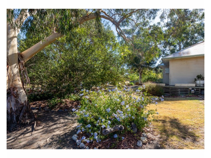 14 Bow Street, Chiltern VIC 3683