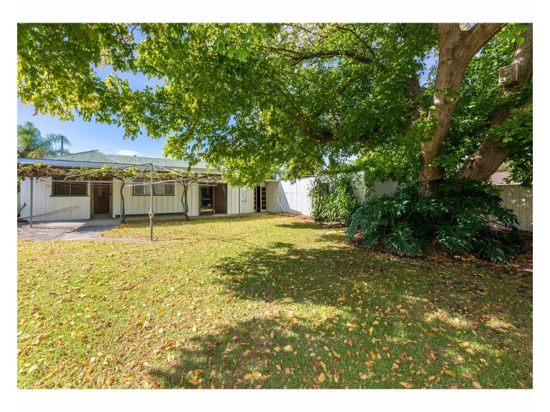 517 Danes Street, Lavington NSW 2641