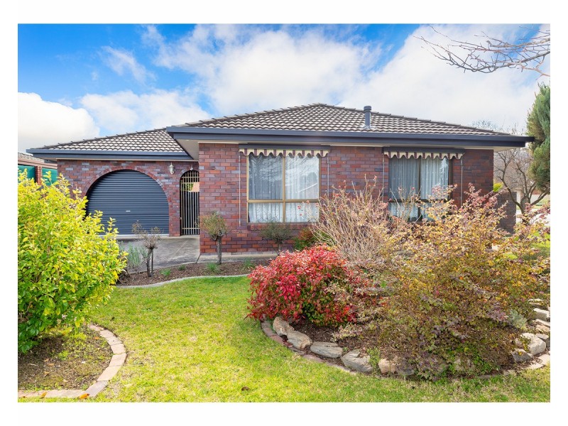 420 Schaefer Street, Lavington NSW 2641