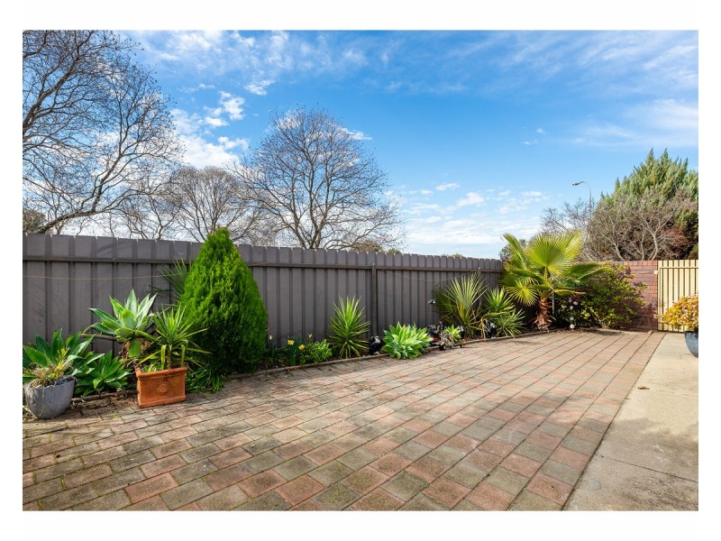 420 Schaefer Street, Lavington NSW 2641