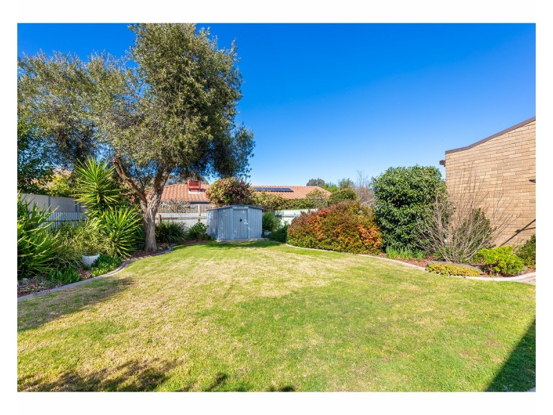 2/23 Wentworth Court, Lavington NSW 2641