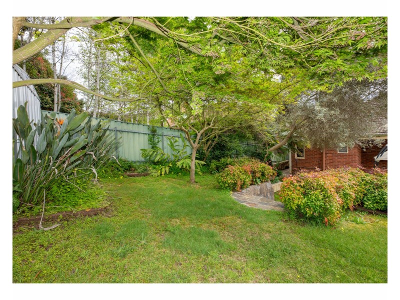 753 Forrest Hill Avenue, Albury NSW 2640