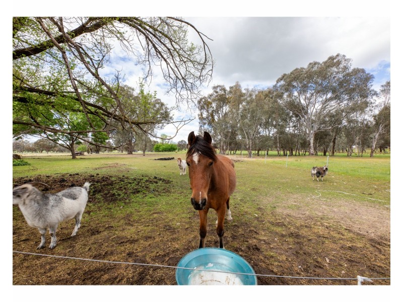 54 Sweetwater Road, Mullengandra NSW 2644