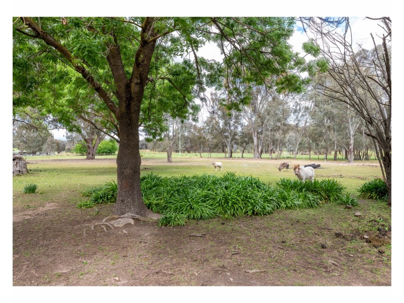 54 Sweetwater Road, Mullengandra NSW 2644