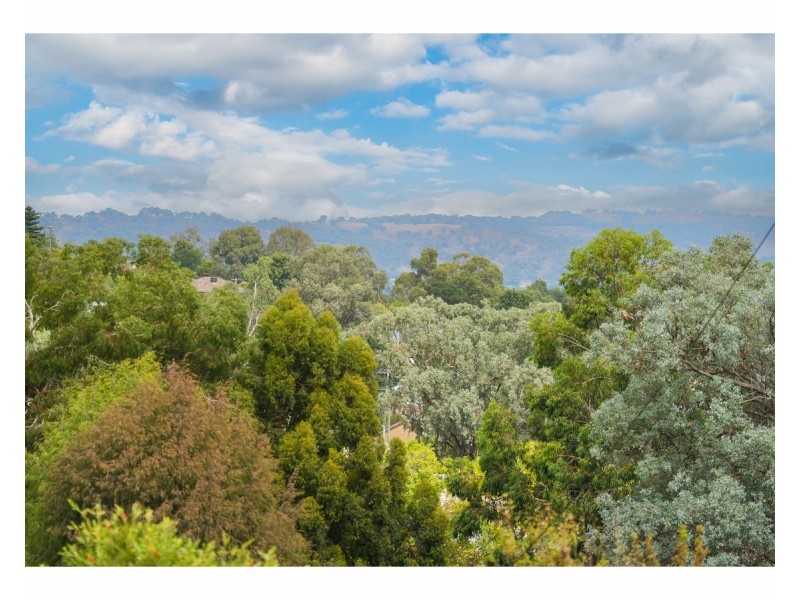 842 Lamport Crescent, West Albury NSW 2640