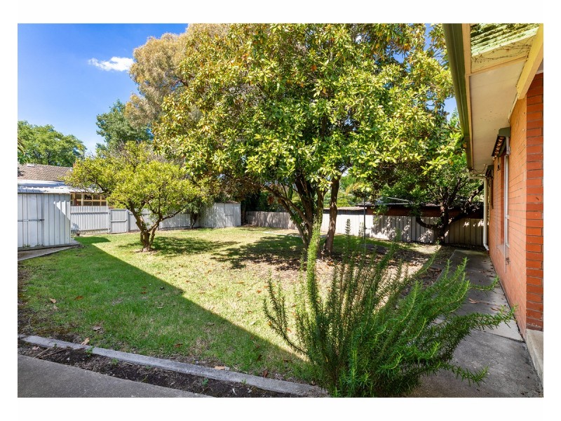 720 Pemberton Street, Albury NSW 2640