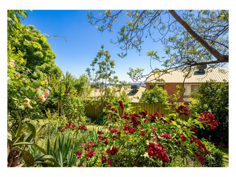 10 Hampton Court, East Albury NSW 2640