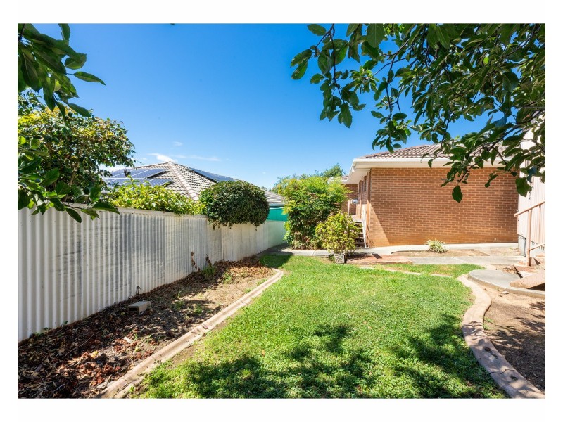 3 Michelle Avenue, Lavington NSW 2641