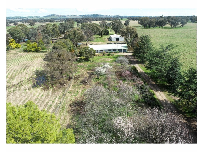 1714 Walla Walla Jindera Road, Jindera NSW 2642