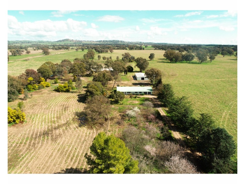 1714 Walla Walla Jindera Road, Jindera NSW 2642