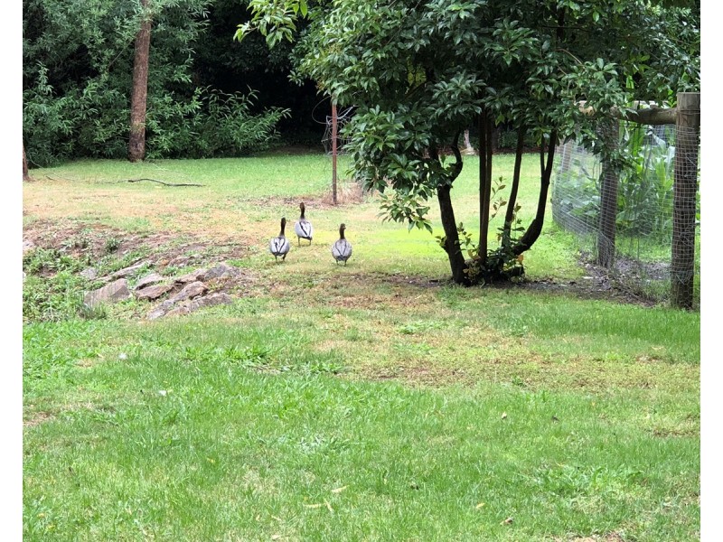 10 Mineral Lane, Yackandandah VIC 3749