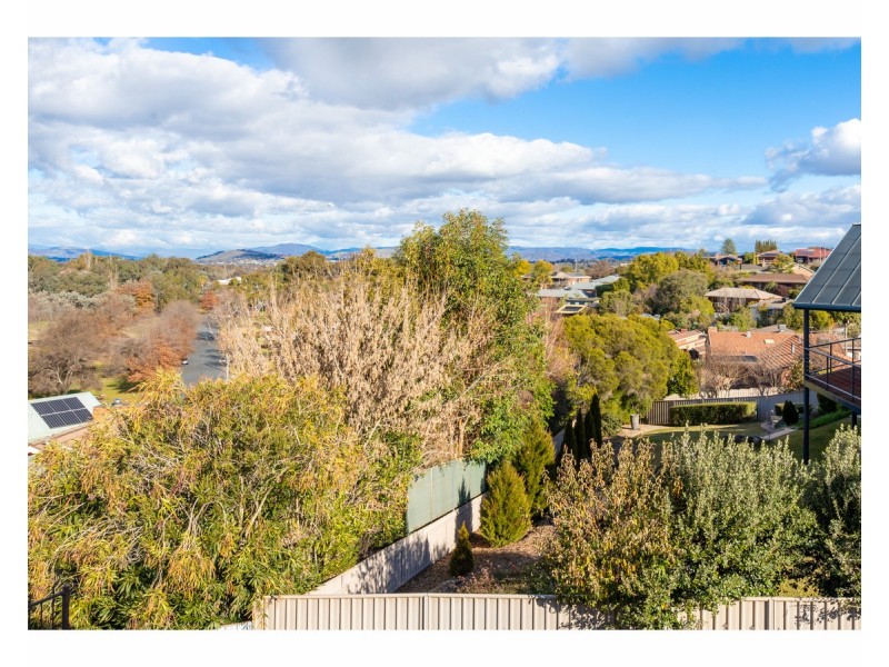 39 Janette Court, Lavington NSW 2641