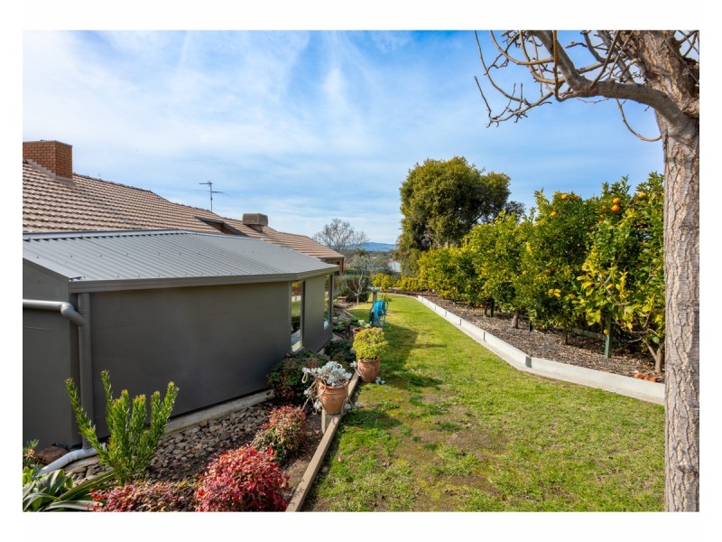 1 Palm Drive, East Albury NSW 2640