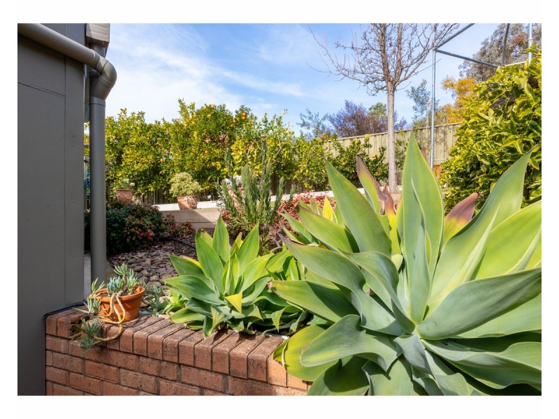 1 Palm Drive, East Albury NSW 2640