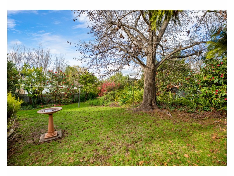 594 Electra Street, East Albury NSW 2640