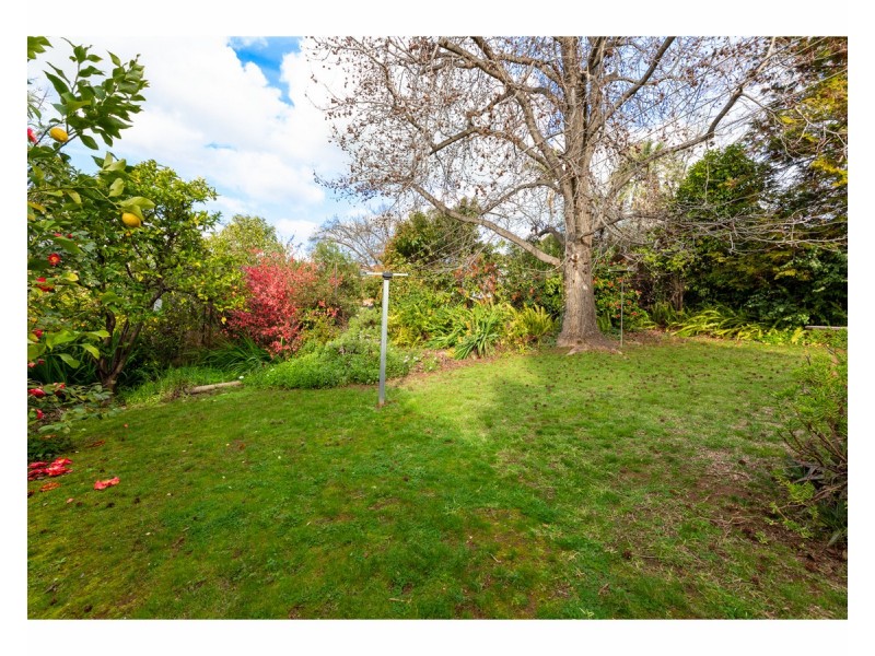 594 Electra Street, East Albury NSW 2640