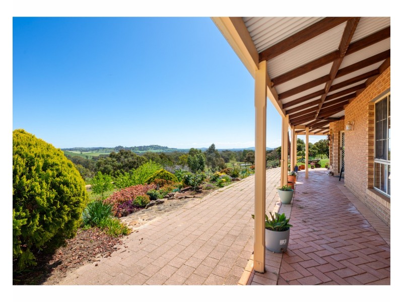 81 Bonnie Springs Road, Jindera NSW 2642