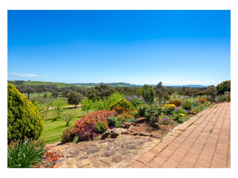 81 Bonnie Springs Road, Jindera NSW 2642
