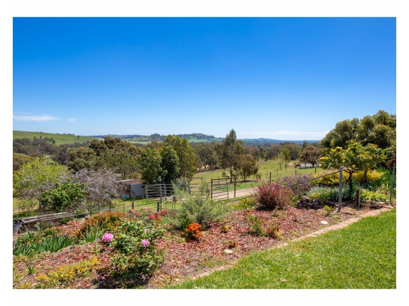 81 Bonnie Springs Road, Jindera NSW 2642