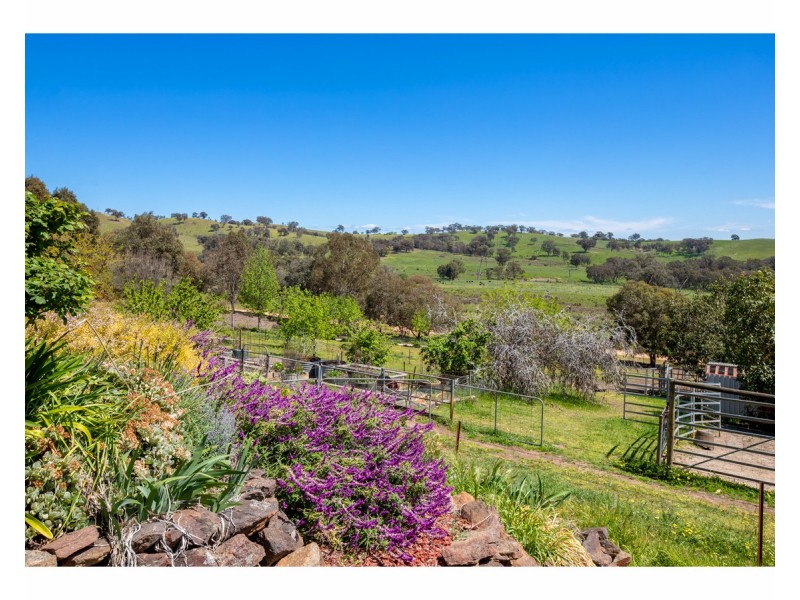 81 Bonnie Springs Road, Jindera NSW 2642