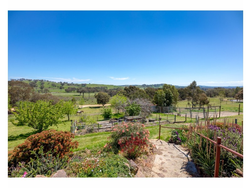 81 Bonnie Springs Road, Jindera NSW 2642